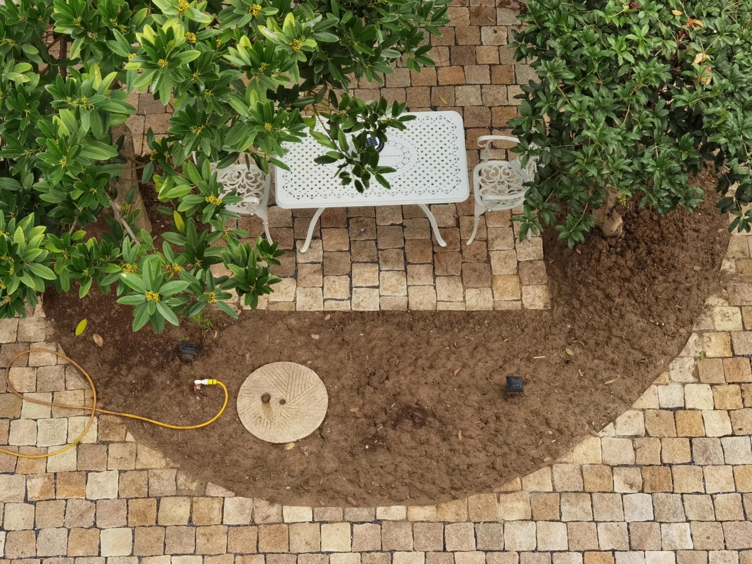 Calacatta Gold Marble